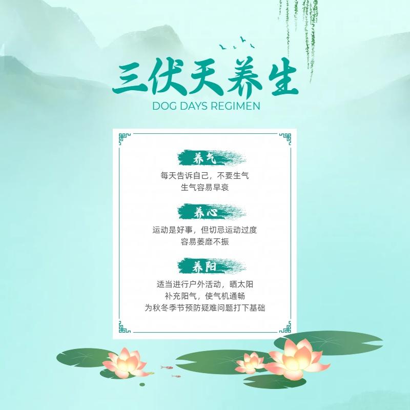 养生3.jpg
